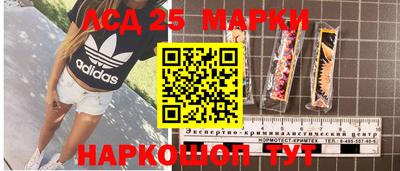 прущие грибы Пугачёв