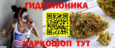 прущие грибы Пугачёв
