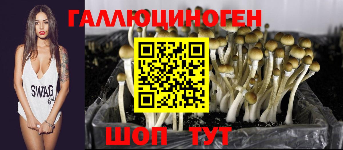 Петропавловск-Камчатский  Псилоцибиновые грибы Psilocybe  где продают наркотики  Вход с VPN  Псилоцибиновые грибы мухоморы 
