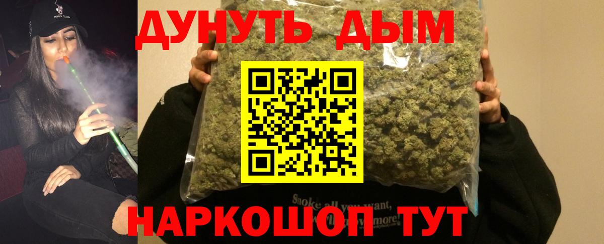 Бошки Шишки планчик Петропавловск-Камчатский